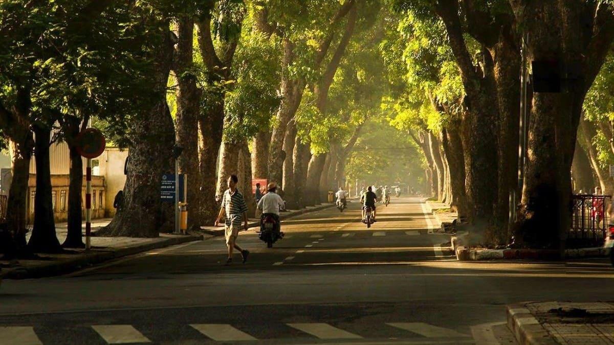 Các lựa chọn ăn uống và tiện ích gần khu vực 6B Hoàng Diệu Ba Đình Hà Nội