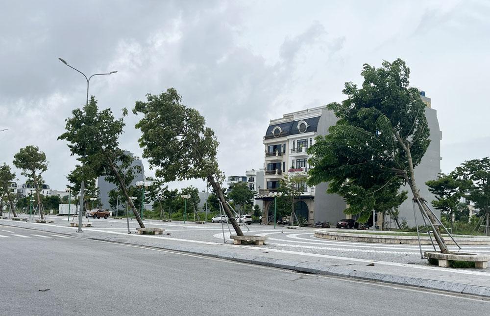 Không gian xanh mát và lối đi bộ trong Công viên Hoàng Hoa Thám Dĩnh Kế Bắc Giang