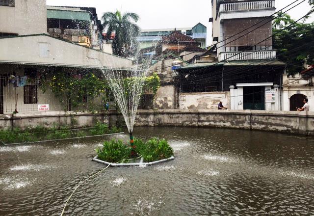 Cuộc sống thường nhật sôi động của người dân tại ngõ 169 Hoàng Mai, quận Hoàng Mai, Hà Nội