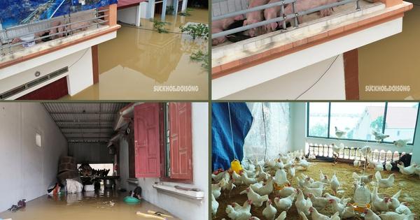 Biển chỉ đường đến khu vực Trung Giã Sóc Sơn