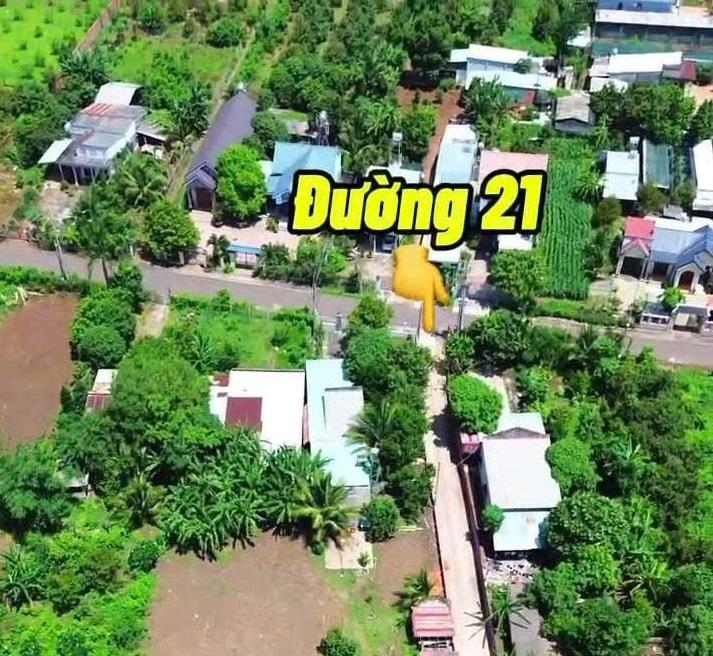 Người bán hàng thân thiện tại Chợ Suối Nghệ, Châu Đức, Bà Rịa - Vũng Tàu