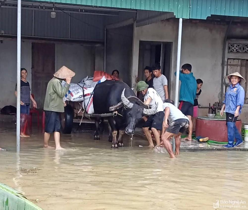 Một người dân địa phương sửa chữa xe đạp điện tại cửa hàng ở Diễn Châu, Nghệ An